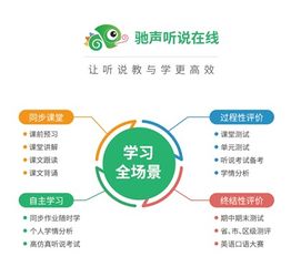 湖北宜昌考前大練兵，馳聲聽說在線助力初三英語模考
